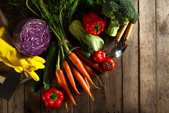 vegetables on a wood table